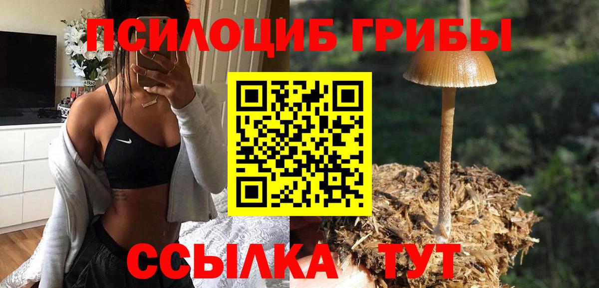 Псилоцибиновые грибы MAGIC MUSHROOMS Карачаевск